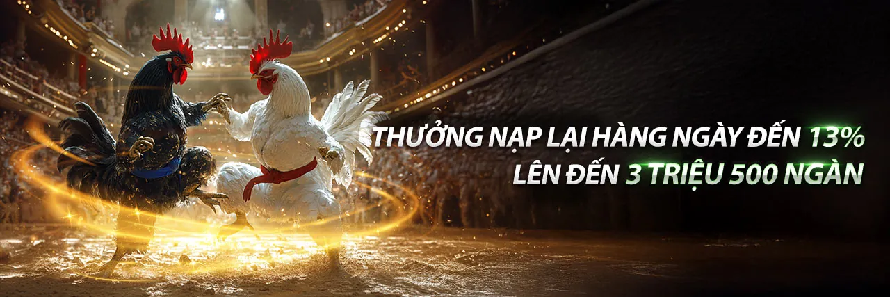 Đá Gà 4/6 tại ACB88